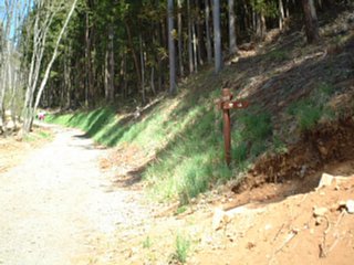 大回りしようとしたが飽きたのでここから山道へ