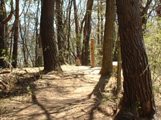 山頂は展望全くなし。展望台へは１分の距離