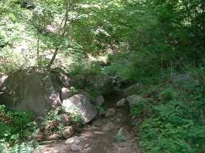 ここから本来の登山道に