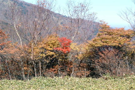 �g�t�͑����̂��A�I���Ȃ̂��c