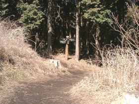 ちょっと下ると静かな歩きが…