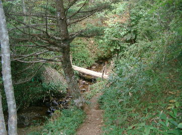 �����ȑ��n��