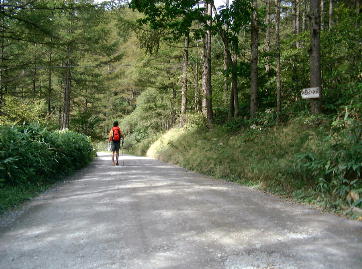 �ѓ������