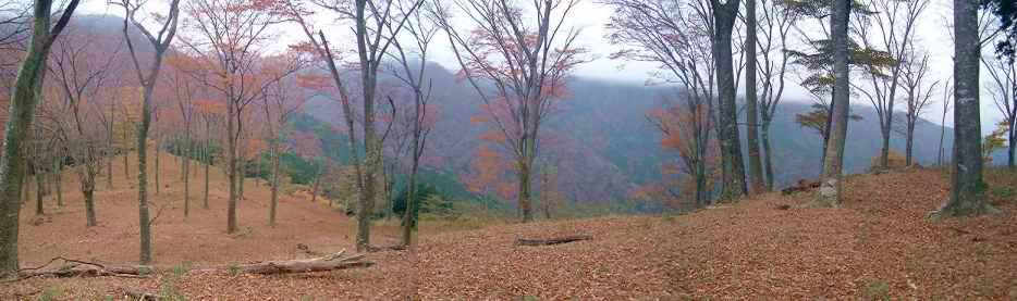 �����M���̍g�t