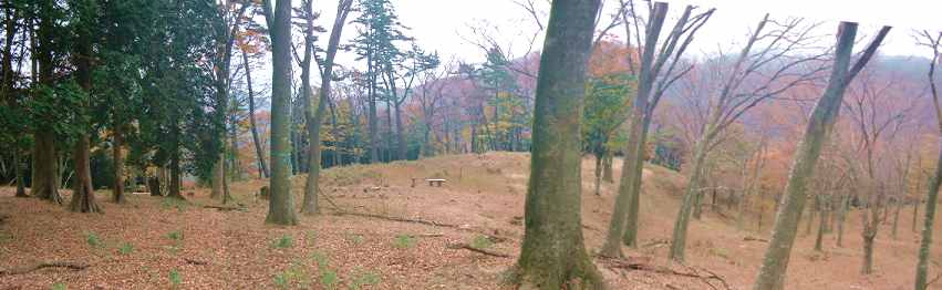 ���ꂪ�����M�����I!(^^)!